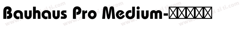 Bauhaus Pro Medium字体转换